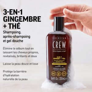 American Crew 3-En-1 GingembreThé, Shampooing, Après Shampooing & Gel Douche pour Cheveux et Corps (250ml), Revitalisant et hydratant.